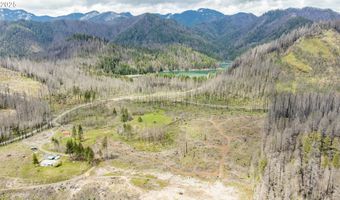 91747 BLUE RIVER RESERVOIR Rd, Blue River, OR 97413