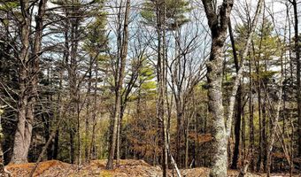 TM 413 L 99 King Road, Alexandria, NH 03222
