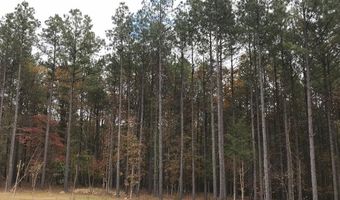 160 Slytown Rd, Arkansas City, AR 71921