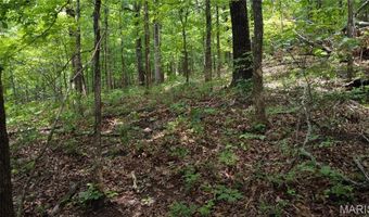 13 Hidden Vly Lks, Annapolis, MO 63620
