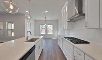3113 Creek Meadow Dr, Anna, TX 75409