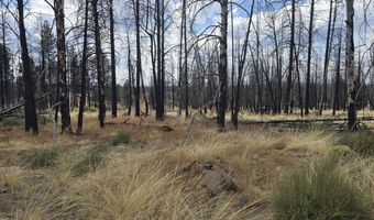 Valley Oak Lane, Bly, OR 97622