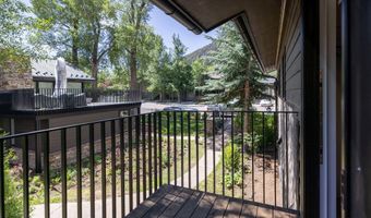 950 E Durant Avenue 4, Aspen, CO 81611