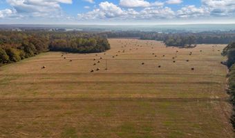 0 County Road 127, Banks, AL 36005