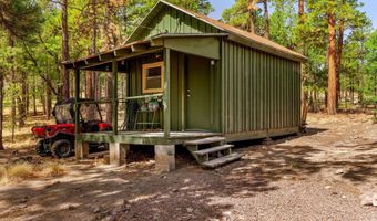 56 Co Rd 2266, Alpine, AZ 85920