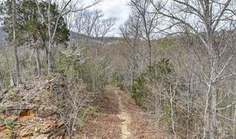 1089 Cornerstone Pkwy Lot 1A & D, Allons, TN 38541
