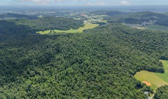 0 McKinley Guffey, Albany, KY 42602