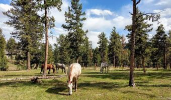 64 Elk Horn Ct, Bailey, CO 80421