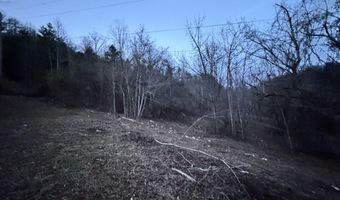 1135 Ned Clark Rd, Bean Station, TN 37708