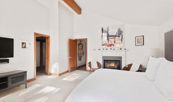 602 W Hallam St, Aspen, CO 81611