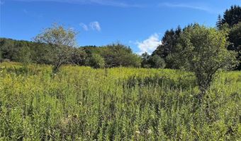 E Valley Road, Alfred, NY 14806