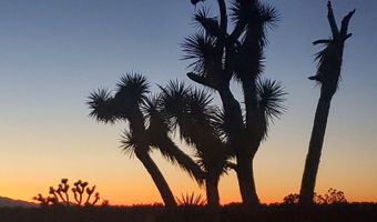 2624 S Gold Mine Rd, Yucca, AZ 86438