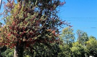 705 W 35th St, Ashtabula, OH 44004