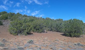 142 County Road 8020, Concho, AZ 85924