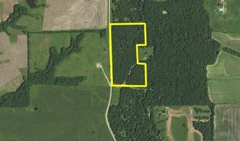 0 24 Acres Dogwood Dr, Browning, MO 64630