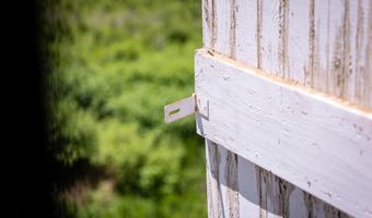 7090 Peele Rd, Bailey, NC 27807