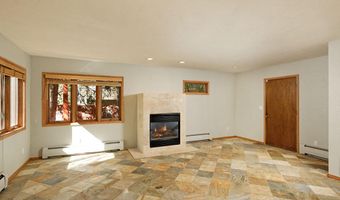 311 Midland Ave, Aspen, CO 81611