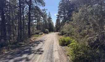 Thunderbear Road 46, Bonanza, OR 97623