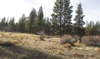 Flamingo Drive 6, Bonanza, OR 97623