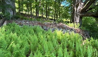 2636 Murphy Hill Rd, Andes, NY 13731
