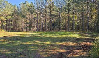 7501 Rainey Morris Rd, Appling, GA 30802