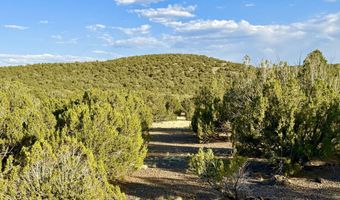37 Co Rd N8174 10.1 Acres, Concho, AZ 85924