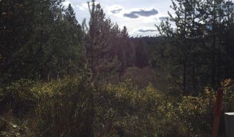 NKA Roberts Ln, Blanchard, ID 83804