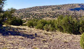 Tbd Co Rd 5062 Lot 1 3.53 Acres, Concho, AZ 85924