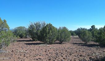24 County Road 8063, Concho, AZ 85924