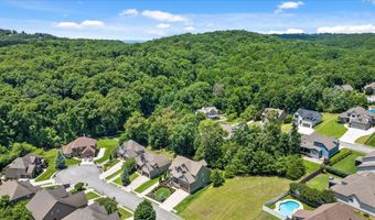 4217 Cripple Bush Ct, Apison, TN 37302