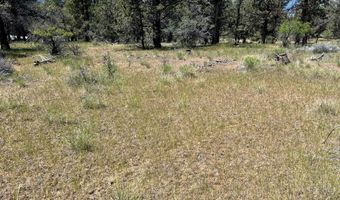 Lot 8 Widgeon Drive, Bonanza, OR 97623