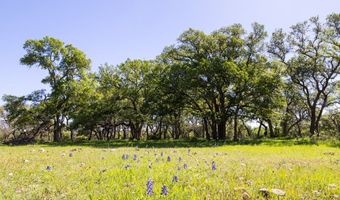 1996 Ranch Rd 165, Blanco, TX 78606