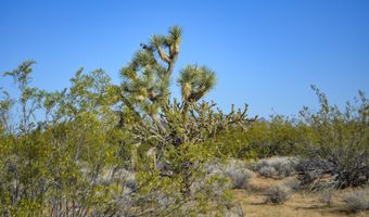 2641 S Javalina Rd, Yucca, AZ 86438
