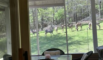 267 Back 9 Dr, Baneberry, TN 37890