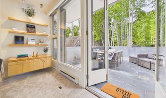 506 W Hallam St, Aspen, CO 81611
