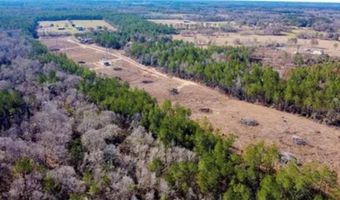 1 Mixon Rd, Amite, LA 70422