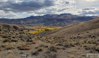 Tbd Morgan Creek Road, Challis, ID 83226