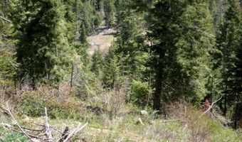 TBD Willow Creek Trail, Cascade, ID 83611
