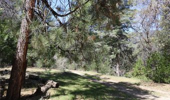 30 Seven Oaks Rd 30, Angelus Oaks, CA 92305