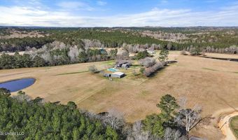 766 Pinola Braxton Rd, Braxton, MS 39044