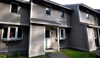 17 Village West Dr 11, Bristol, NH 03222