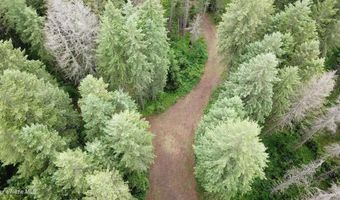 60317 Highway 200, Clark Fork, ID 83811