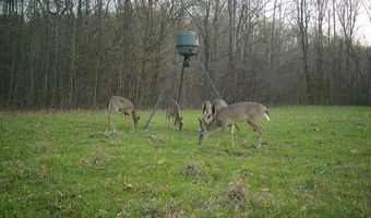 217 281, Banner, MS 38913