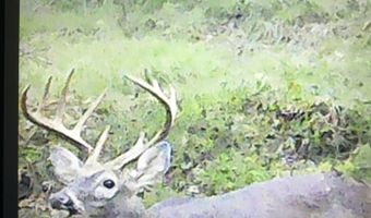 001 Farr Rd, Bolton, MS 39041