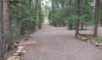 38 CR 2266, Alpine, AZ 85920