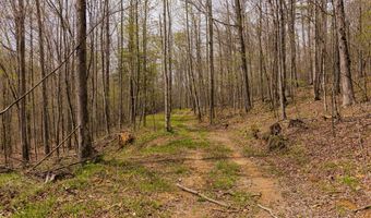 Tbd9999 Wentworth School Road, Beattyville, KY 41311
