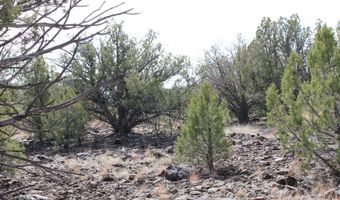 5079 N Pineveta Rd, Ash Fork, AZ 86320