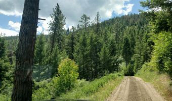 Lot 20 Arlee Pines, Arlee, MT 59821