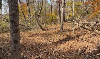 9- A Dulwich Dr, Amherst, VA 24521