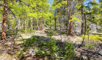 715 Lewsader Rd Lot 0, Alma, CO 80420